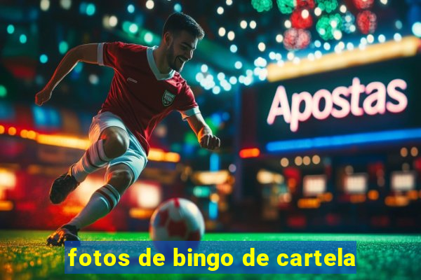 fotos de bingo de cartela