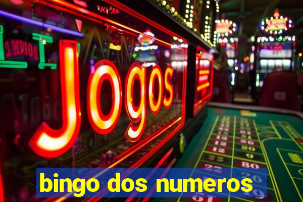 bingo dos numeros