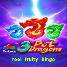 reel fruity bingo slot free play