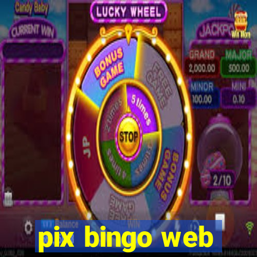 pix bingo web